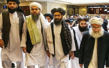 The Afghan embassy delegate was instructed to deliver Hafiz Gul Bahadur.