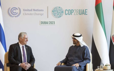 At Expo City Dubai, the presidents of the UAE and Cuba talked about collaboration and exchange agreements
