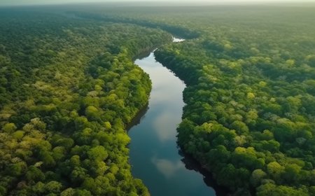 $2.4 billion in funding is raised at COP28 with an emphasis on NTDs, forests, and oceans