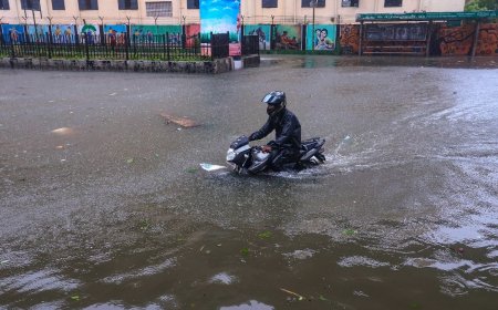 India's southern coast was battered by heavy rains brought by Cyclone Michaung