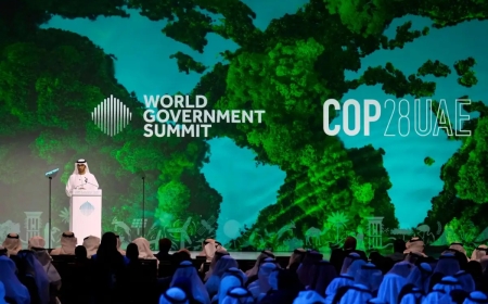 UAE is at the forefront of the World Fire Emission Reduction Alliance's formation