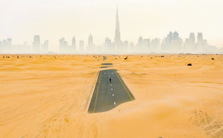 Dubai, although being in a desert, is an international center for biodiversity.