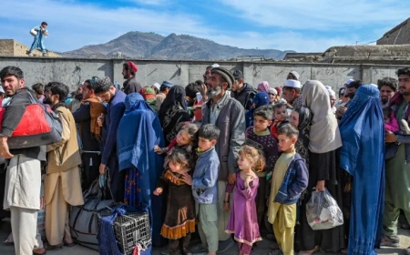 Pakistan aims to deport one million undocumented immigrants by the end of January