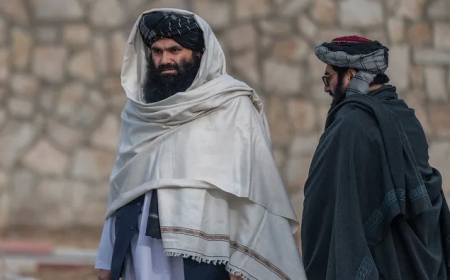 Pakistan would use its passport to 'ascertain facts' about an Afghan minister