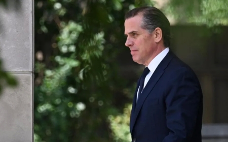 Hunter Biden has been charged with nine federal tax offenses