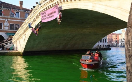 In a protest against COP 28, Extinction Rebellion climate activists color Venice's Grand Canal green