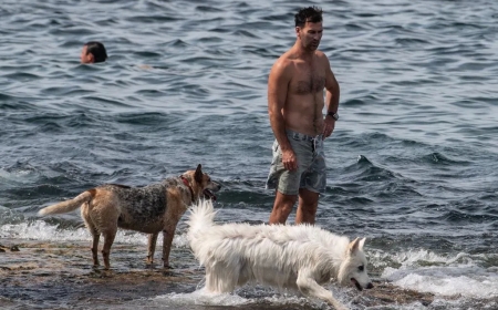 Sydney, Australia recorded a high temperature of 43.5C in December