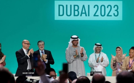 In Dubai, COP28 forges a historic agreement to expedite climate action