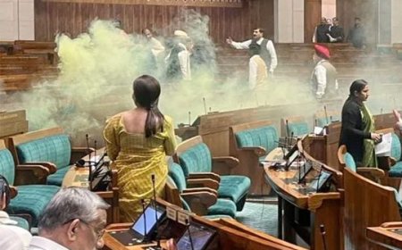 A man breaches significant security by jumping into the Indian Parliament and setting off a smoking can