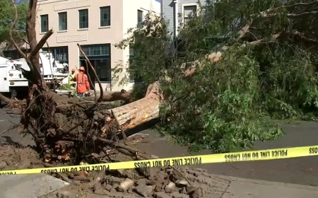 In Argentina, a storm with 150 km/h winds has claimed 14 lives