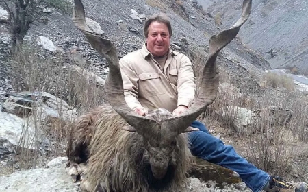 A US individual pays a record $232,000 for permission to hunt Markhor in Chitral