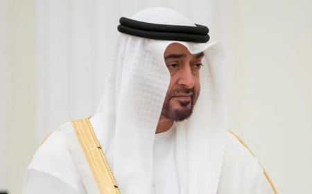 The UAE Accountability Authority was established by Federal Decree-Law issued by the President of the UAE