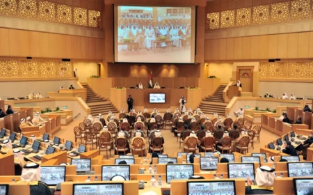 UAE passes a mental health law