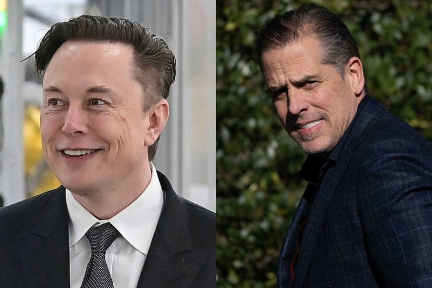 Hunter Biden refers to Elon Musk as the "dumbest smart person in the world."