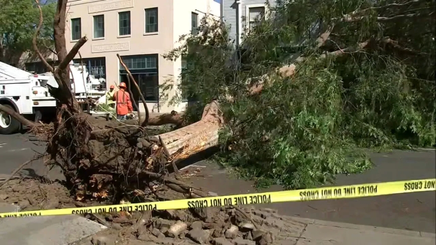 In Argentina, a storm with 150 km/h winds has claimed 14 lives