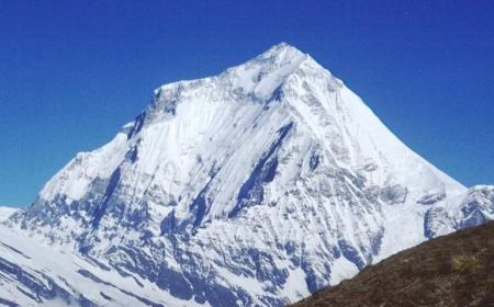 Search Operations Started for Missing Swedish Man