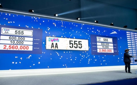 A beautiful license plate sale garnered almost Dh51 million.