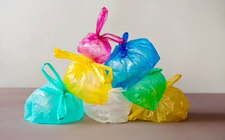 On January 1st, Dubai banned plastic bags