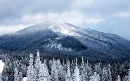 Sweden and Finland seeing minus 40C.