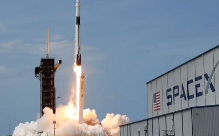 Elon Musk-critical personnel at SpaceX allegedly fired illegally