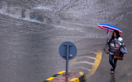 UAE weather: Rainfall falls in various portions of the nation