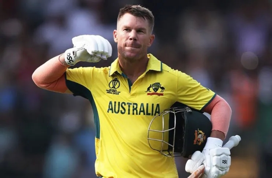 David Warner says goodbye to ODIs.