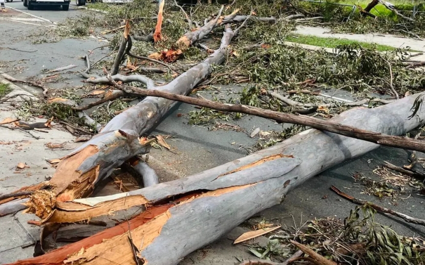 Wild storms in Queensland destroyed hundreds of poles