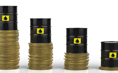 Significant rise in crude oil costs