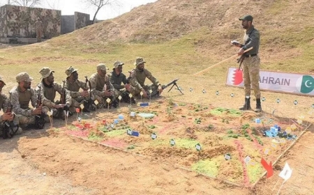 International PATS exercise begins in Pabbi.