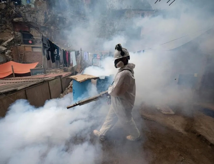 Peru deems an "imminent" dengue epidemic