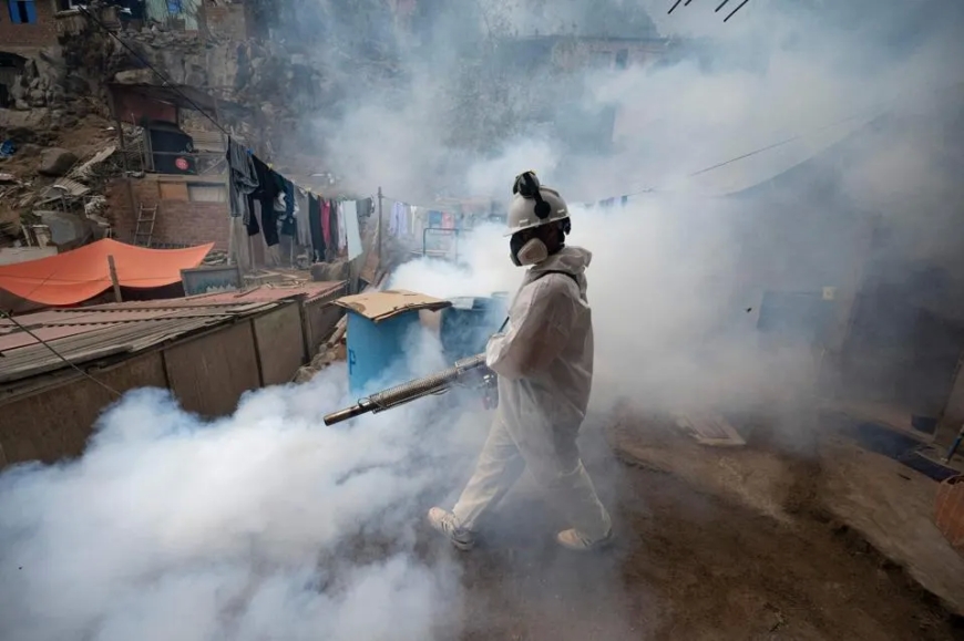 Peru deems an "imminent" dengue epidemic